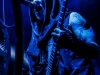 01 Behemoth-IMG_6877