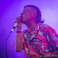 2.-Insanity-Alert-IMG_8105